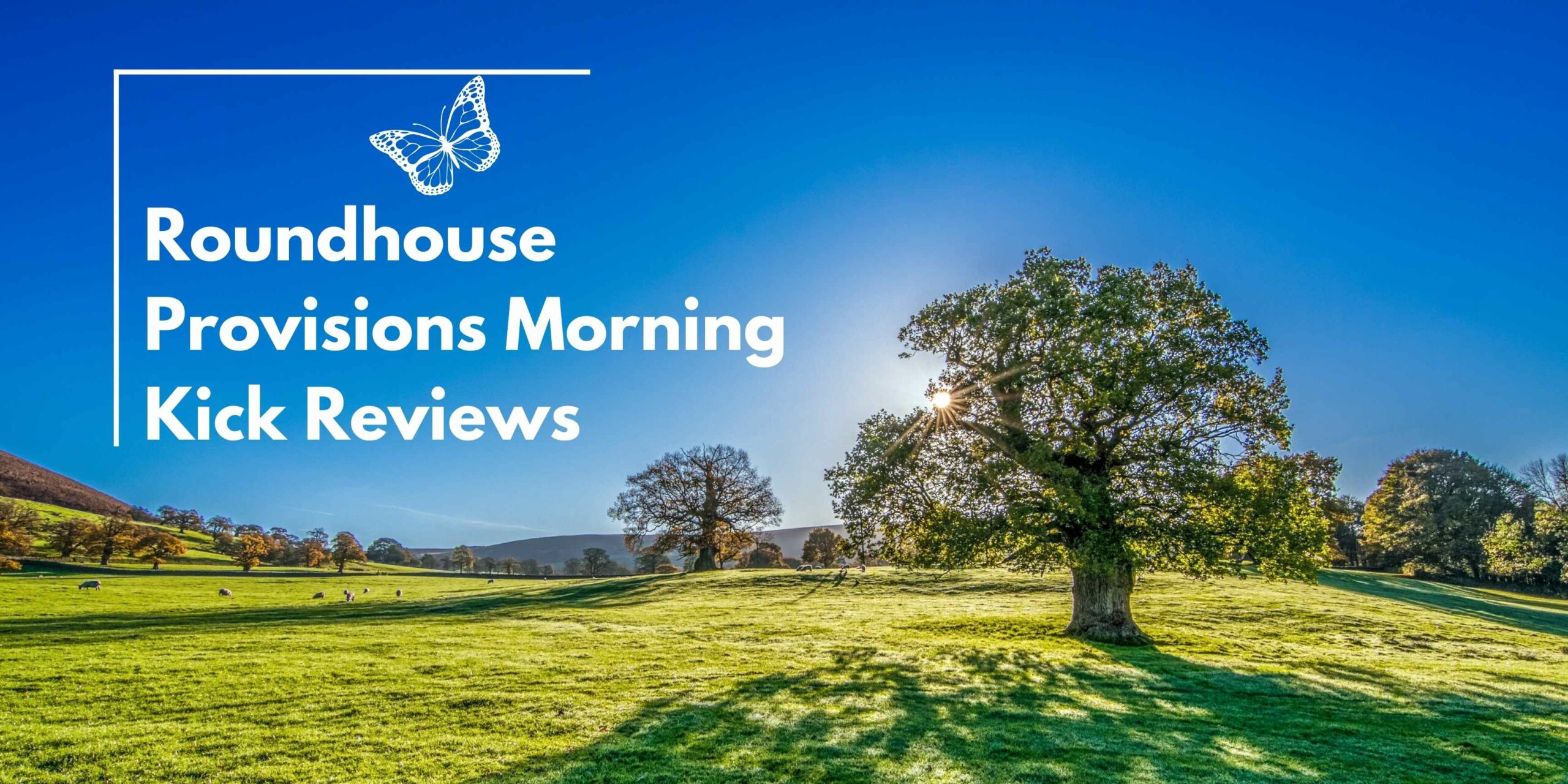 Roundhouse Provisions Morning Kick Reviews